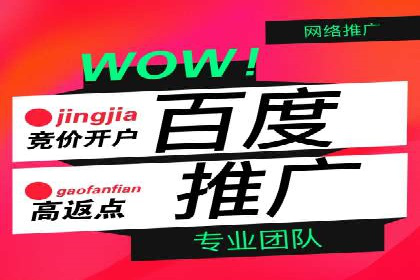 SEM推广案例：打造高效广告投放方案